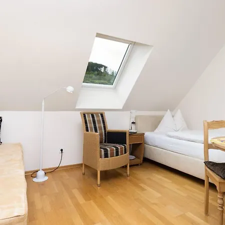 Im Auerbachtal 호텔 3*