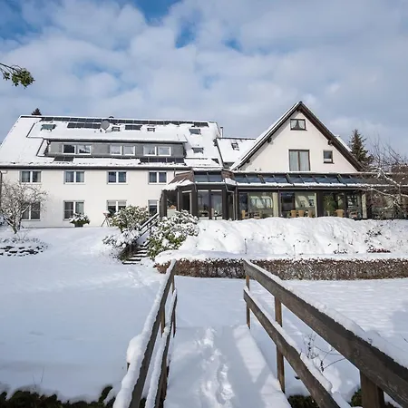 Hotell Im Auerbachtal 3*