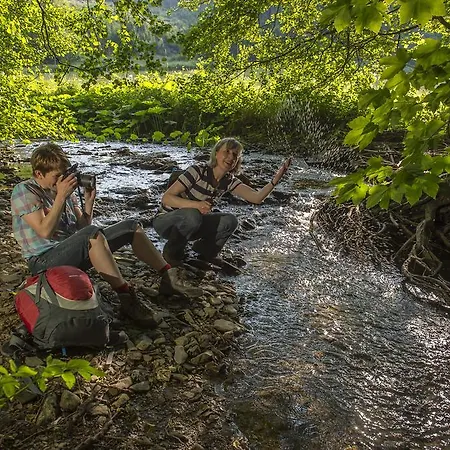 Im Auerbachtal 호텔 바트라아스페