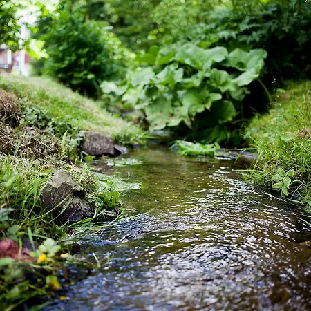 호텔 Im Auerbachtal 바트라아스페