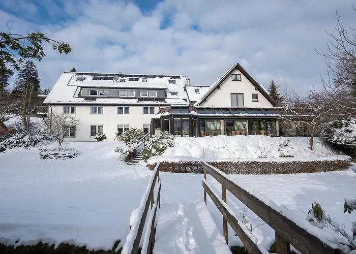 Hotel Im Auerbachtal 3*