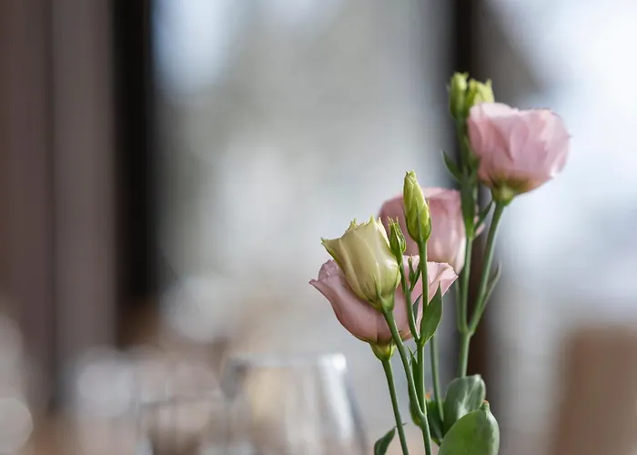 Hotel Im Auerbachtal Bad Laasphe