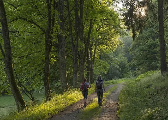 Im Auerbachtal Hotel