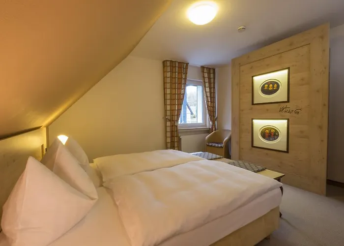 Hotel Im Auerbachtal 3*