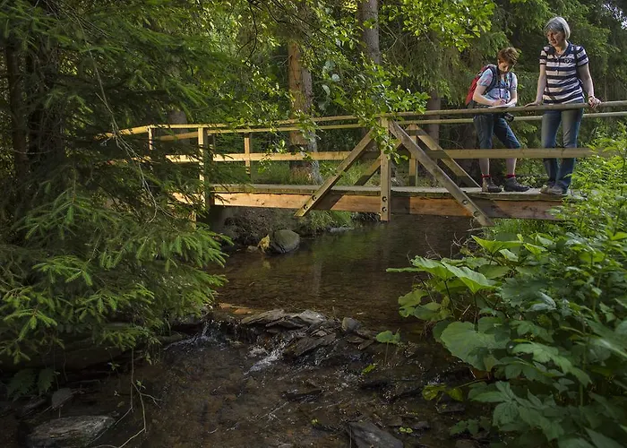 Im Auerbachtal Hotel 3*