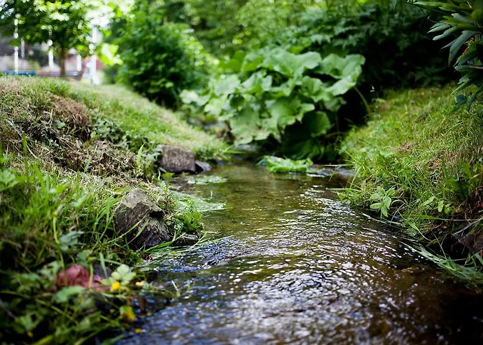Hotel Im Auerbachtal Bad Laasphe